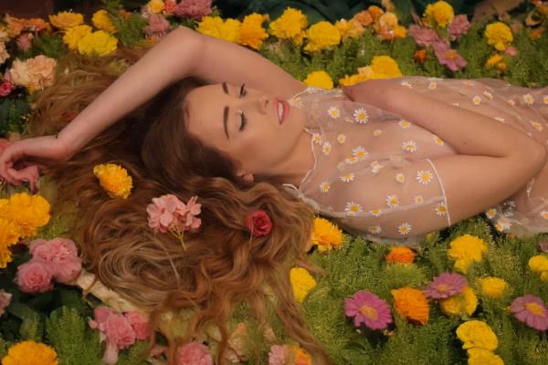 Joanne Chase-Mattillo - Resting Among The Flowers