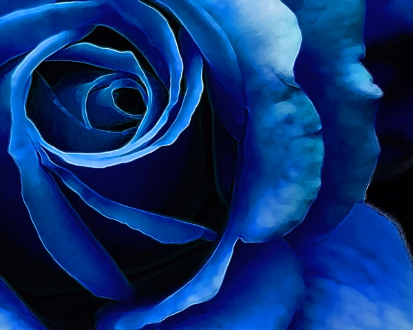 Kim Niswender - Blue Rose #2