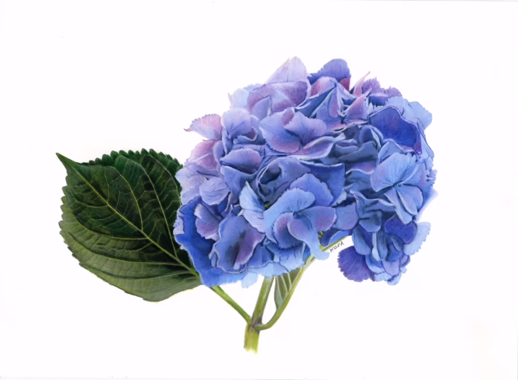 <a target='_blank' href='https://hmvcgallery.com/product/periwinkle-perfection/'>Krista Oremus - Periwinkle Perfection