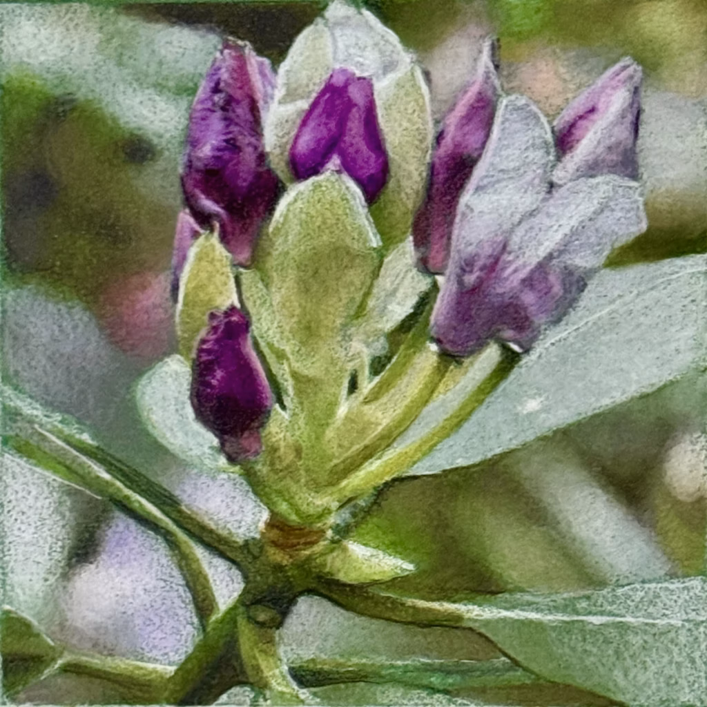 <a target='_blank' href='https://hmvcgallery.com/product/rhododendron/'>Lael Salaets - Rhododendron