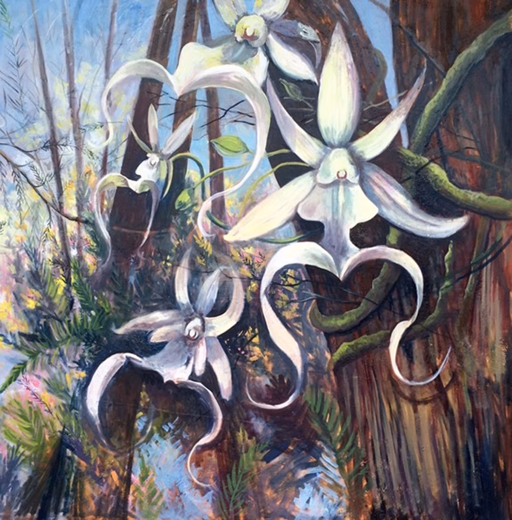 <a target='_blank' href='https://hmvcgallery.com/product/super-ghost-orchids/'>Patricia Rottino Cummins - Super Ghost Orchids