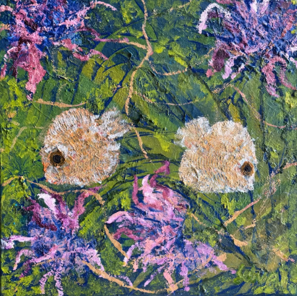 Selva Ozelli & Ian Hutton - Discus Fish