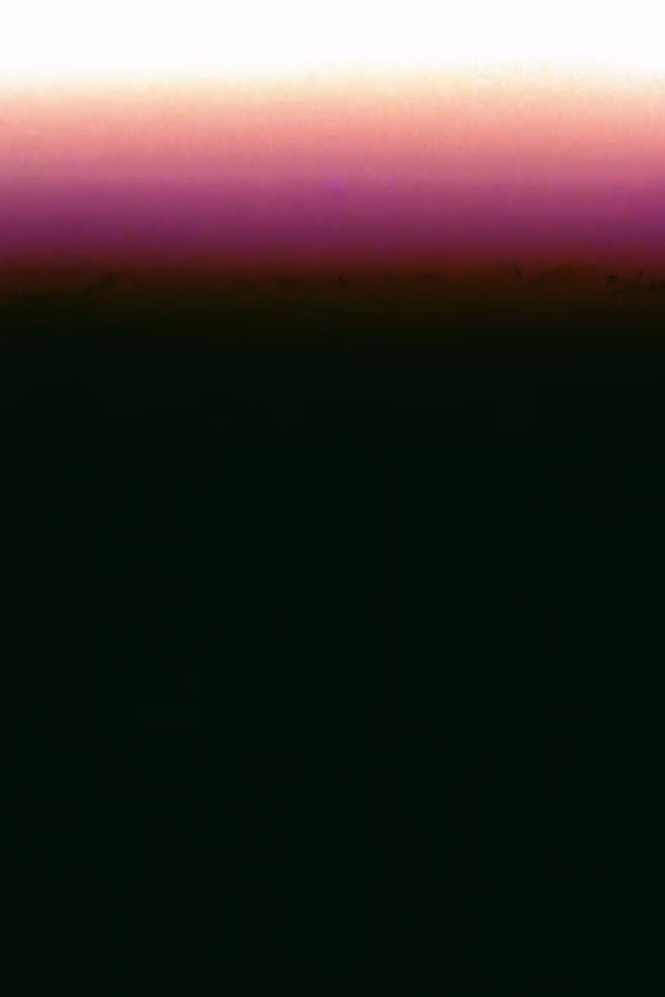 Stefanie Kane - Negative 01