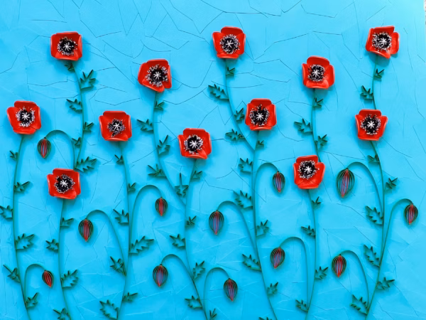 Nikitha Yelchuru - Field Of Poppies