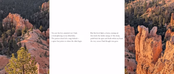 David Orr - You Are The Lost Ancestral Sea I Find
