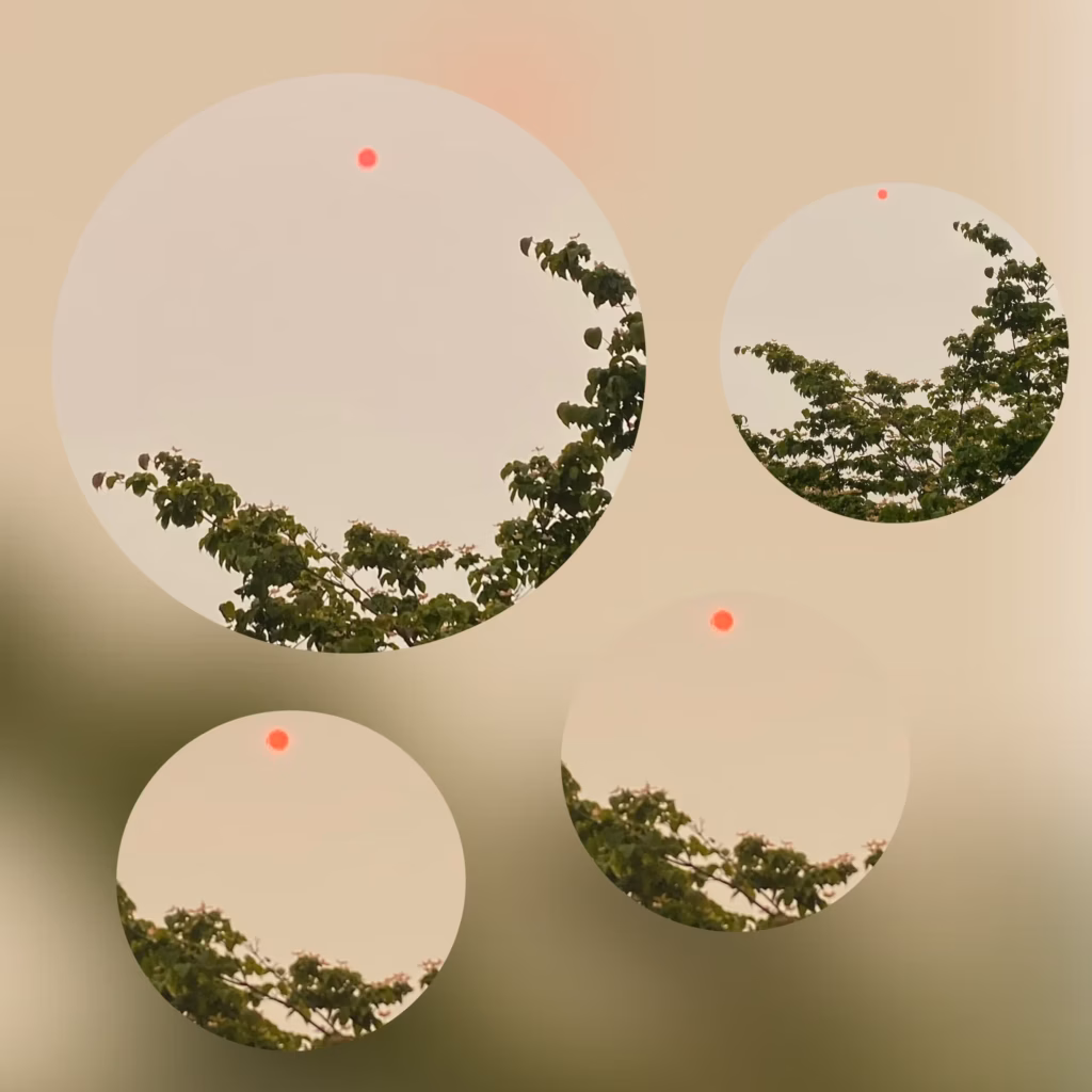 <a target='_blank' href='https://hmvcgallery.com/product/red-sun-rises/'>Dixie Allen - Red Sun Rises