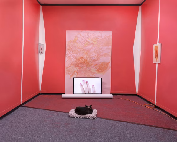 Jing (Ellen) Xu - Dream