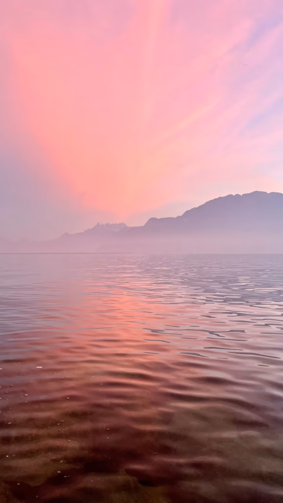 <a target='_blank' href='https://hmvcgallery.com/product/pink-illumination/'>Brigitte B Burckhardt - Pink Illumination