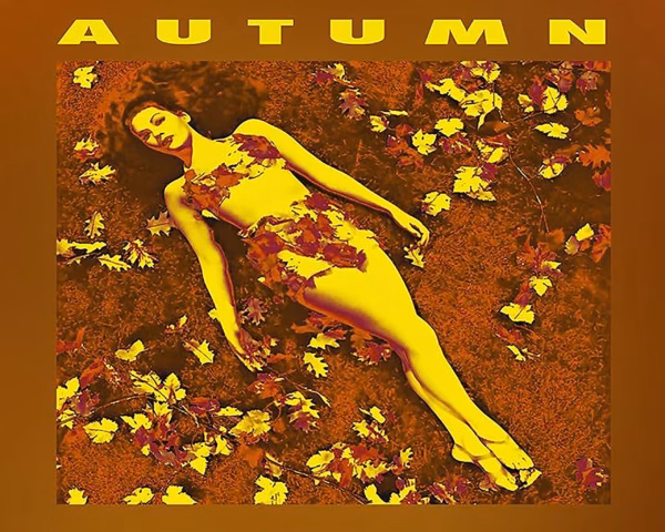 Joanne Chase-Mattillo - Autumn