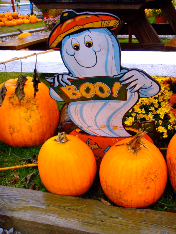 Karen Safer - BOO Boy
