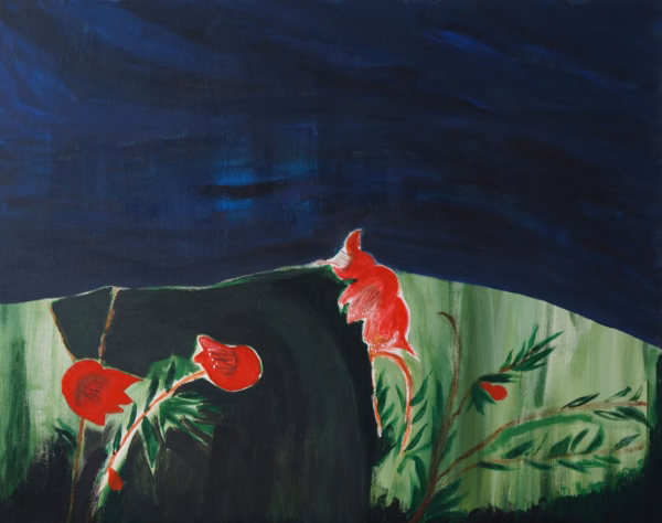 Liliana D'Ambrosio - Pomegranate Flowers