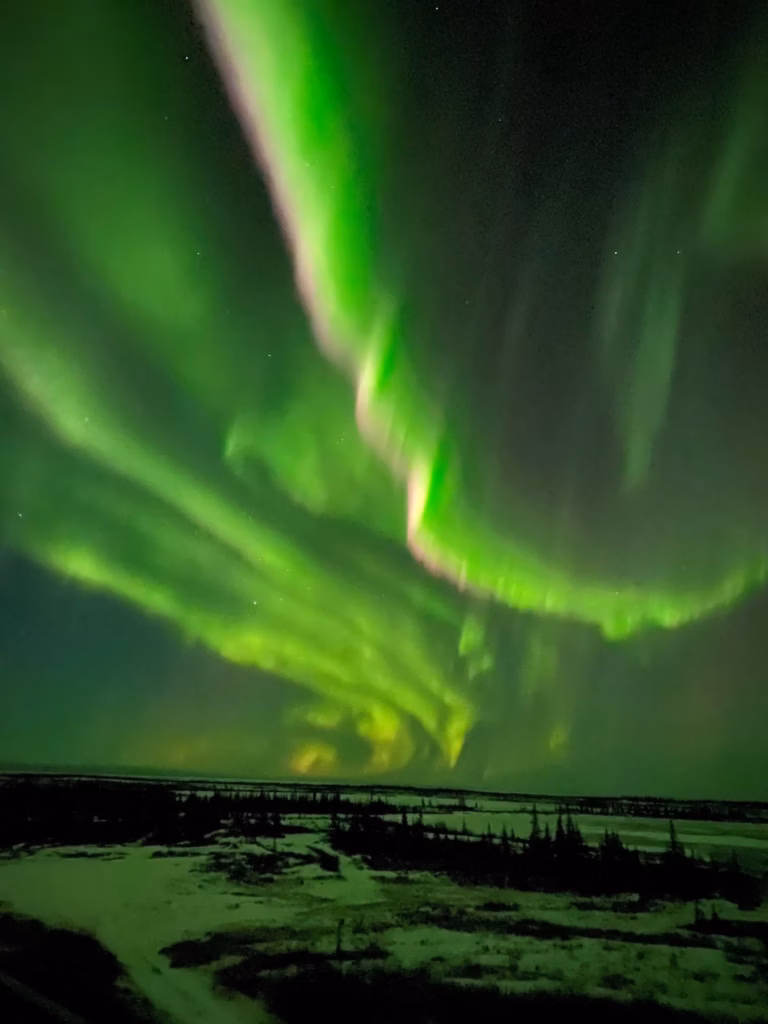 <a target='_blank' href='https://hmvcgallery.com/product/aurora-dances/'>Dixie Allen - Aurora Dances