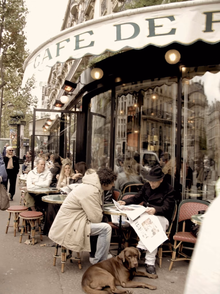 <a target='_blank' href='https://hmvcgallery.com/product/atgets-paris-flore/'>Karen Safer - Atgets Paris Flore