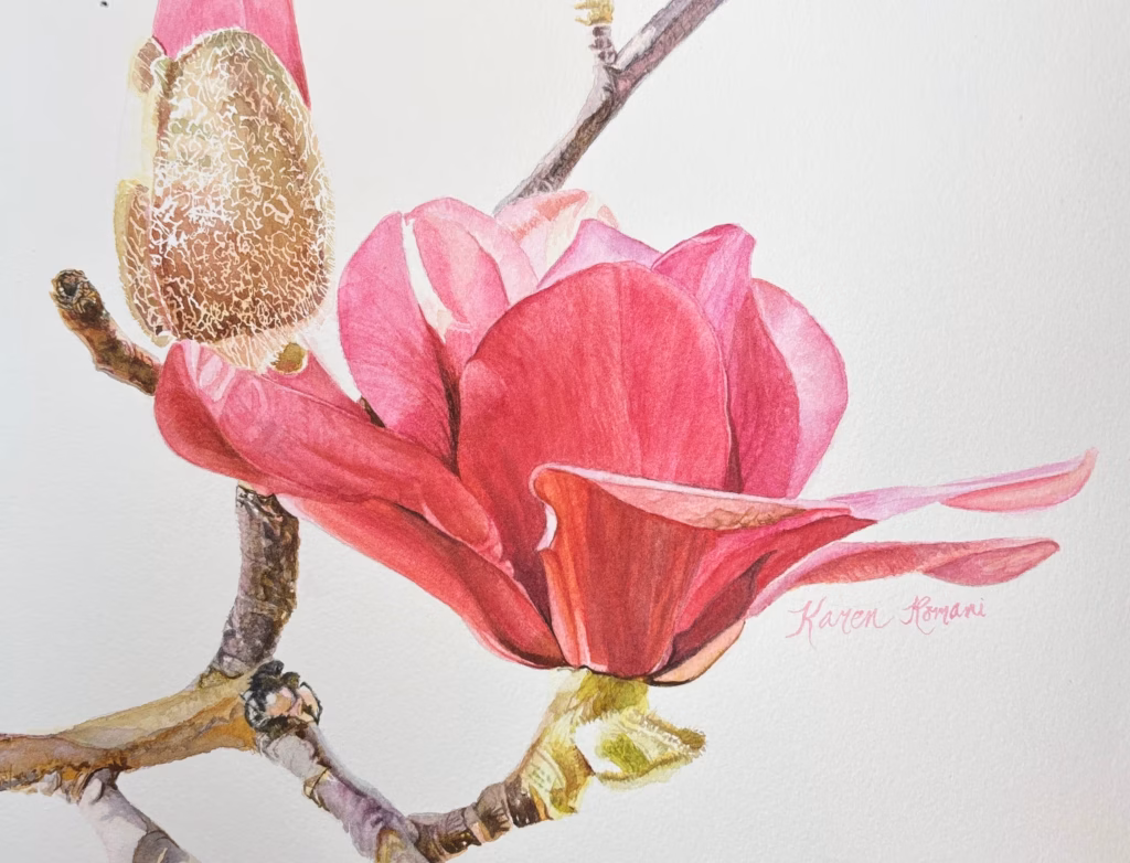 <a target='_blank' href='https://hmvcgallery.com/product/morning-magnolia/'>Karen Romani - Morning Magnolia