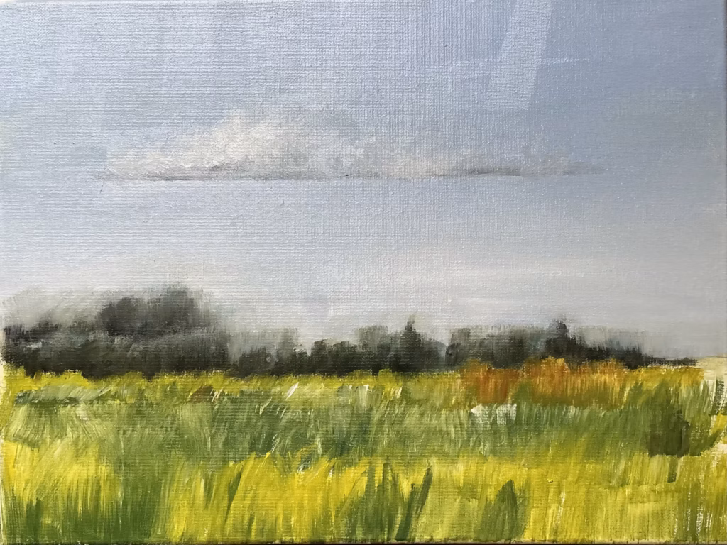 <a target='_blank' href='https://hmvcgallery.com/product/yellow-prairie/'>Janet Levy - Yellow Prairie