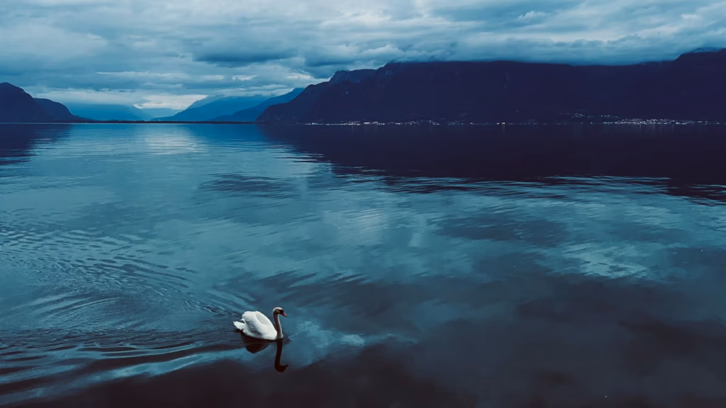 <a target='_blank' href='https://hmvcgallery.com/product/blue-hour/'>Brigitte B Burckhardt - Blue Hour